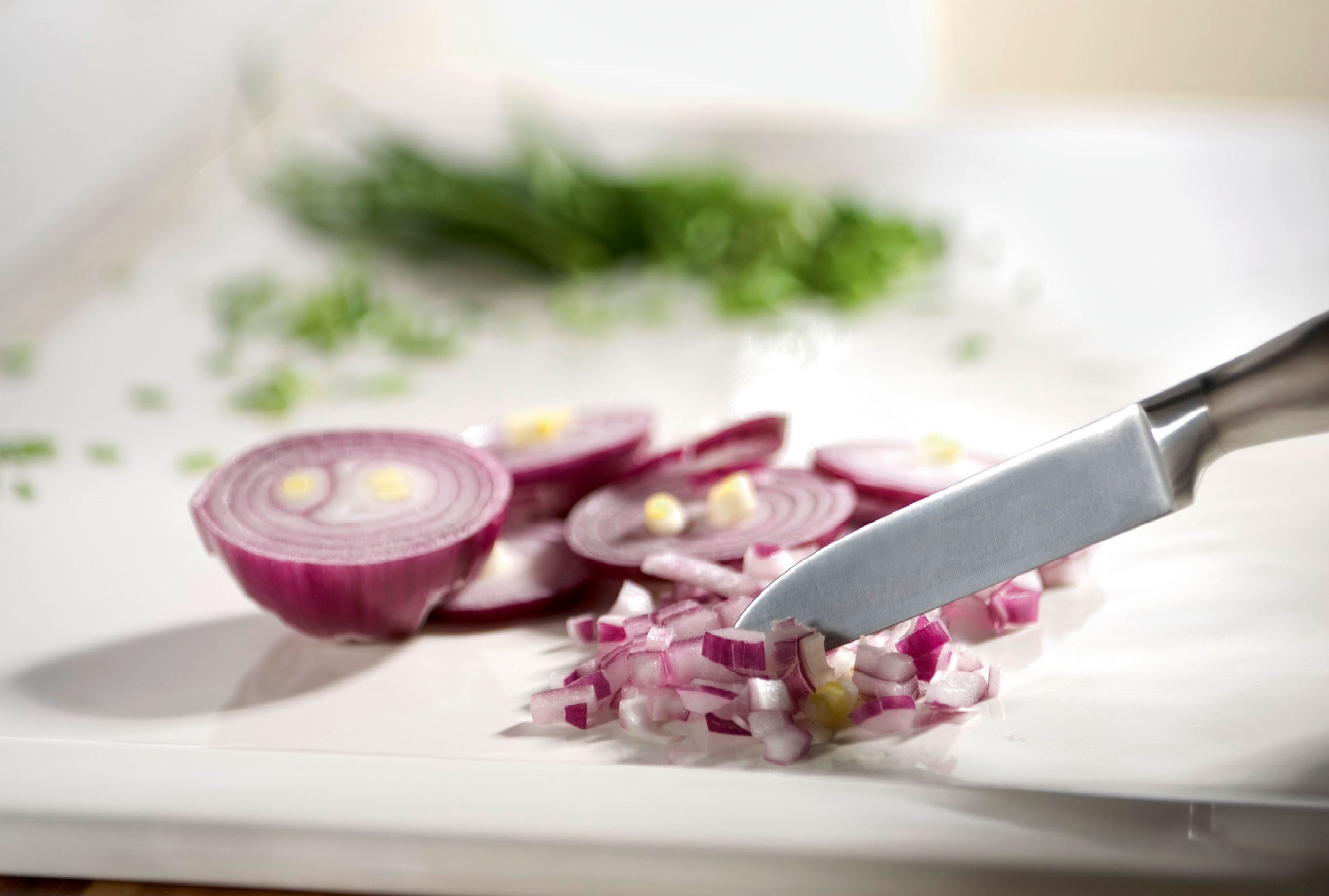 Systemceram Spüle mit Messer und Zwiebel